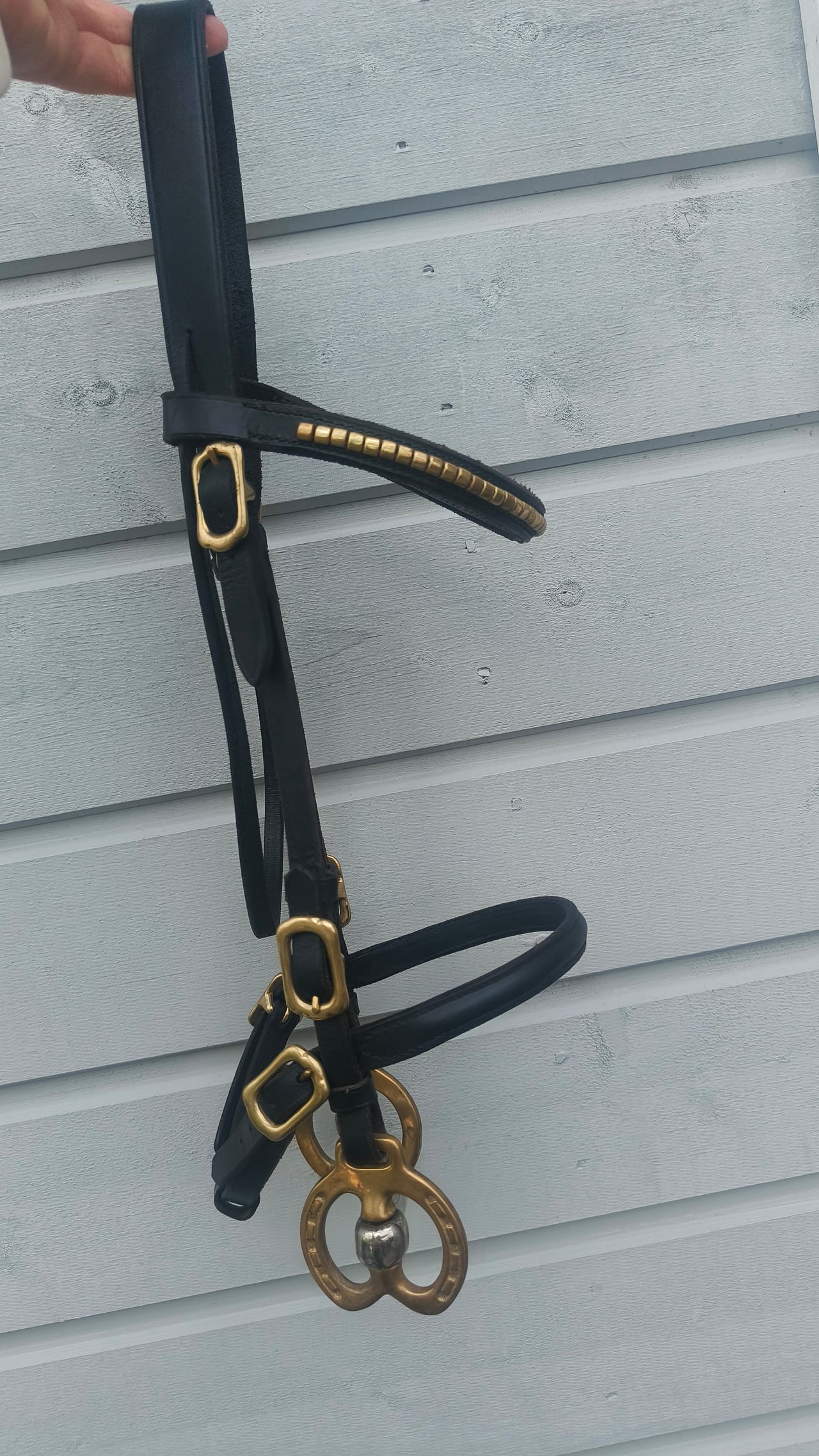 Nahkaiset mustat näyttelysuitset/pony