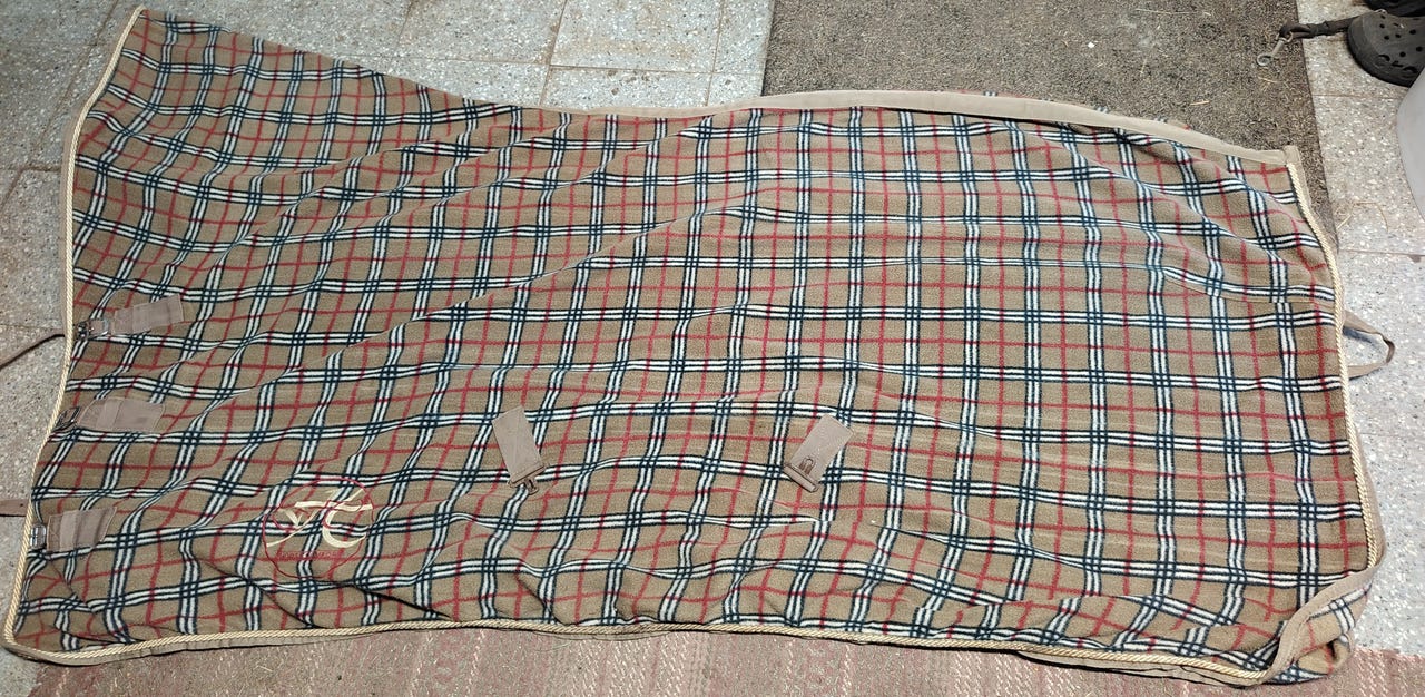 145 fleeceloimi
