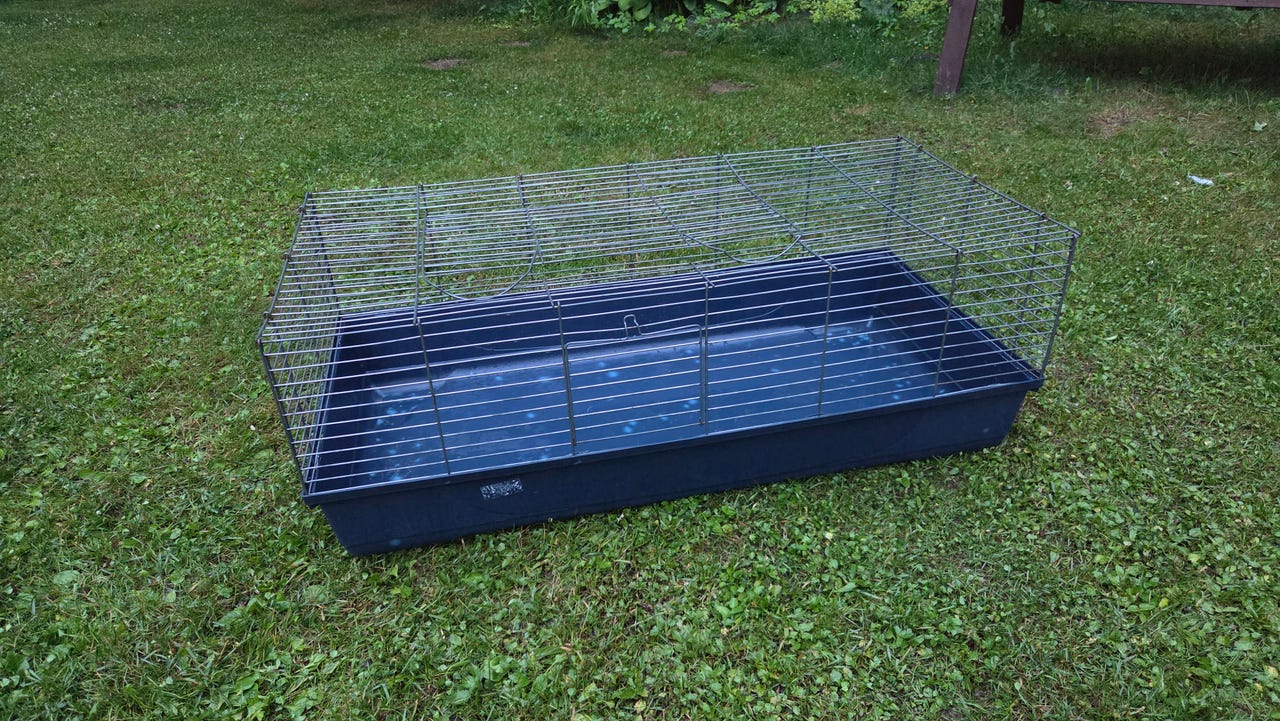 Kanin häkki