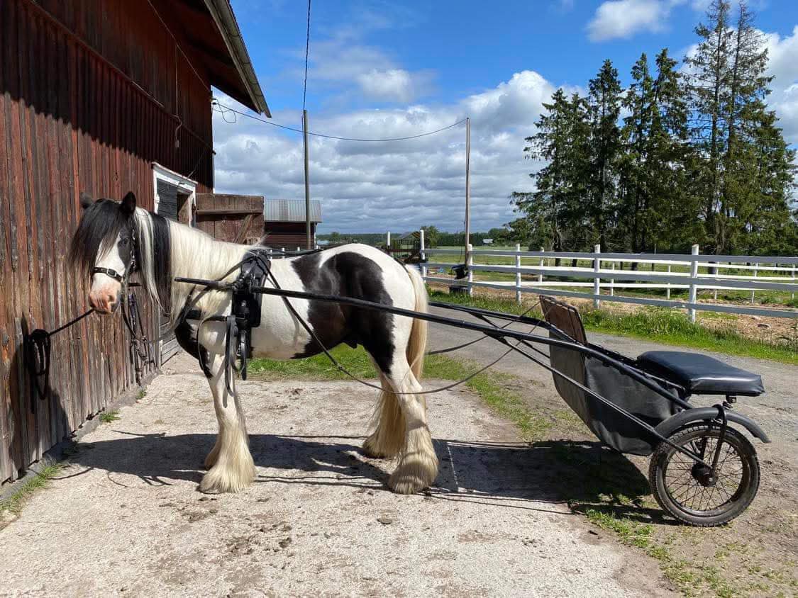 Mustat koppakärryt ja Wahlstenin valjaat