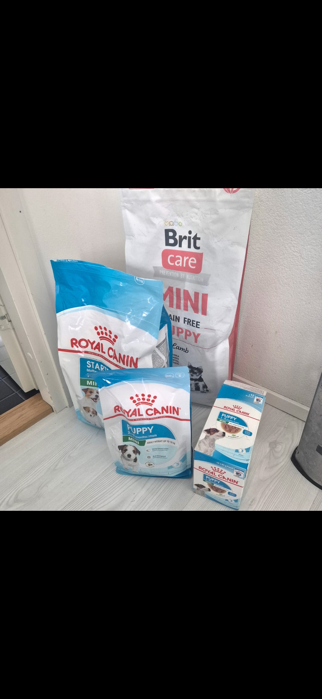 Royal Canin ja Brit Care penturuokapakkaus