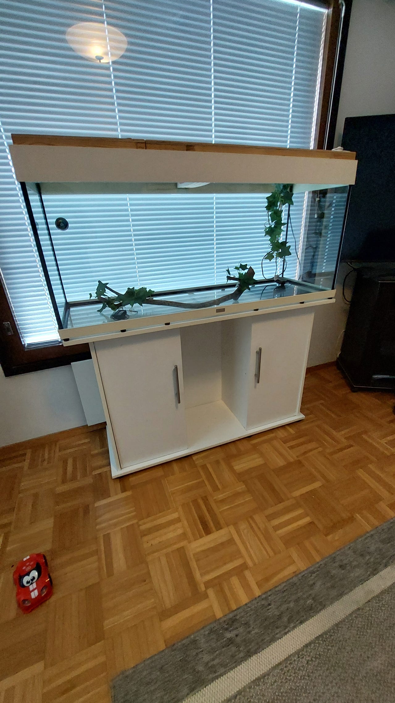 TERRAARIO JA KAAPPI