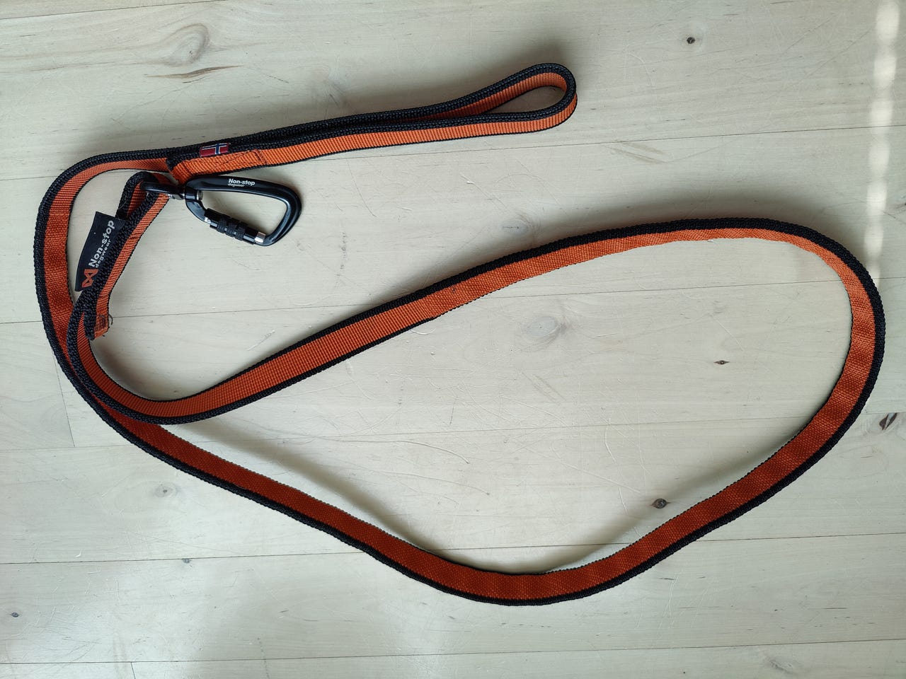 Non-Stop bungee leash