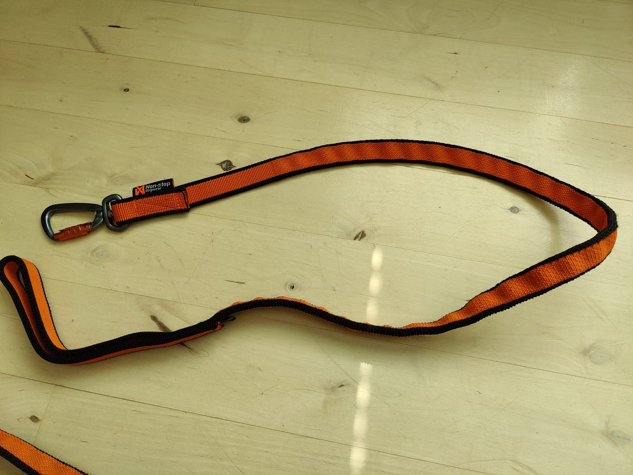 Non-Stop bungee leash