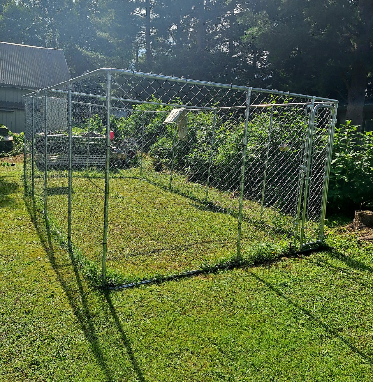 Trekker koira-aitaus 3 x 6 m