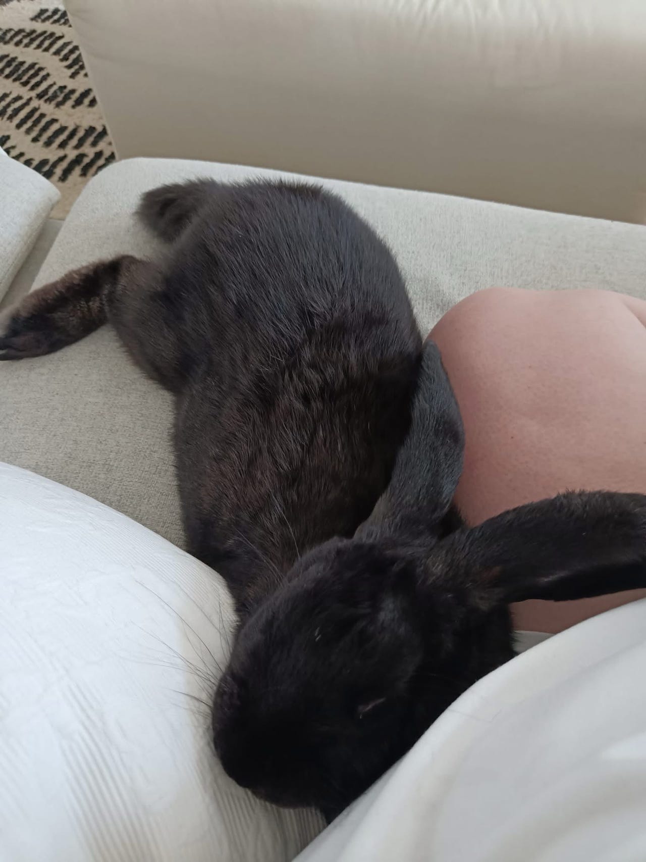 Leikattu ranskanluppa