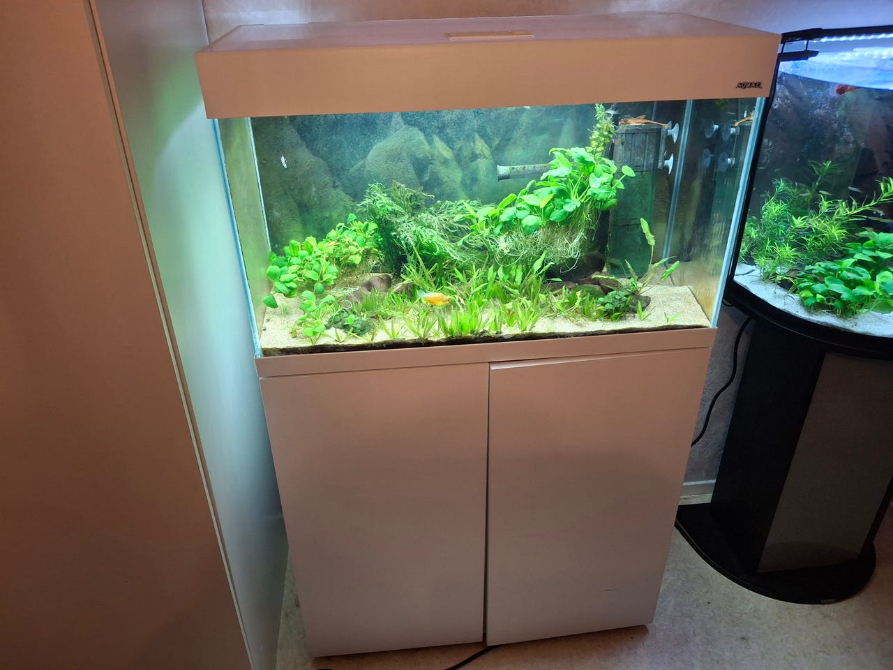 AquaEl Opti Set 125 l