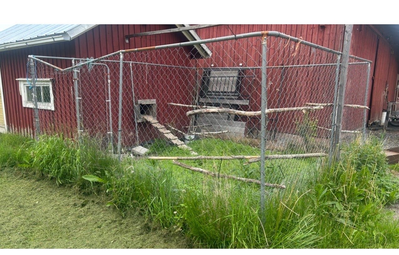 Metallinen verkkoaita / eläinaitaus
