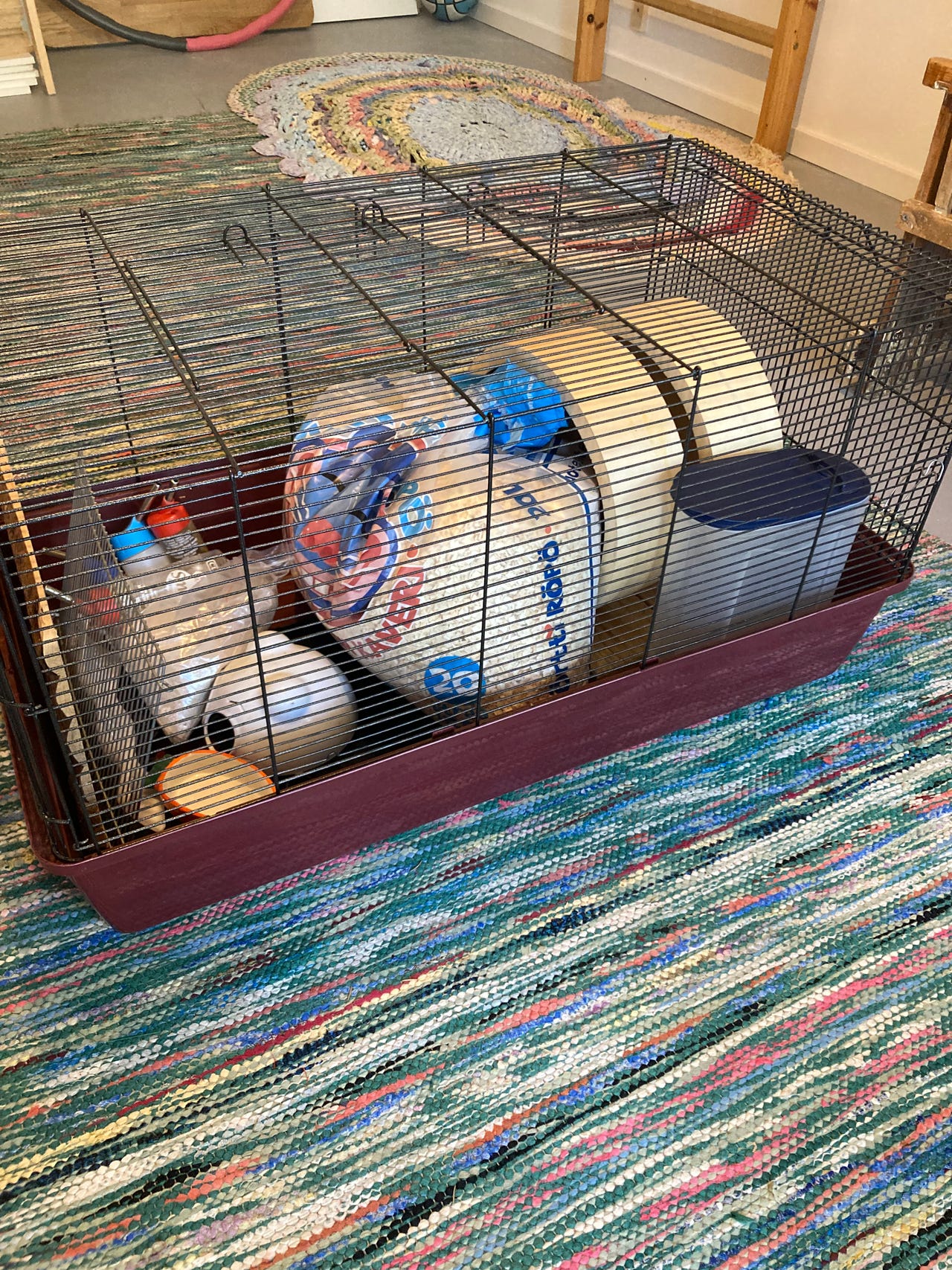 Iso hamsterin häkki + tarvikkeet