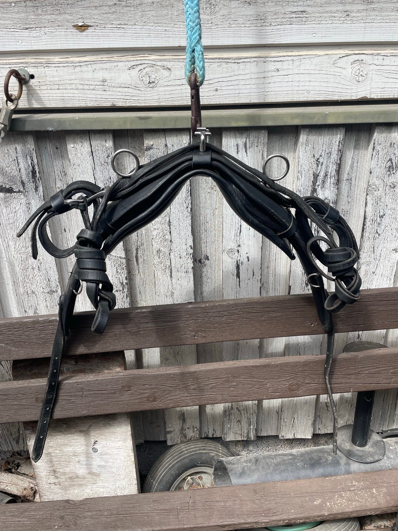 Perinteisen valjastuksen silat