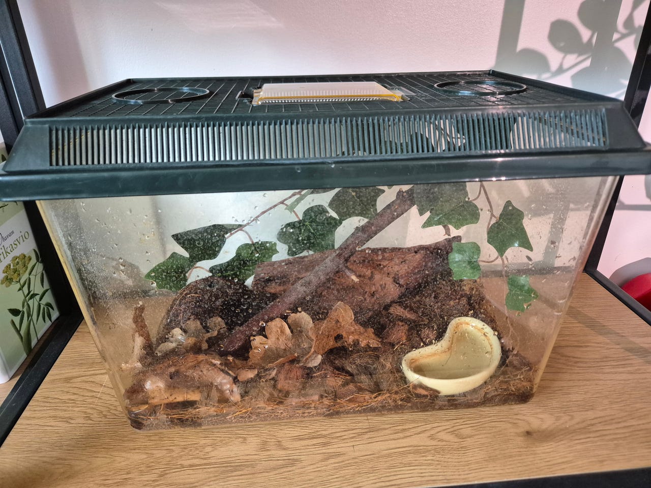 Terraario ja siiroja