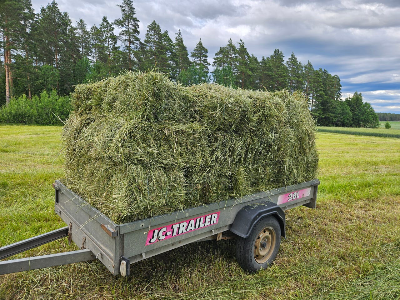 Heinää pienpaaleissa