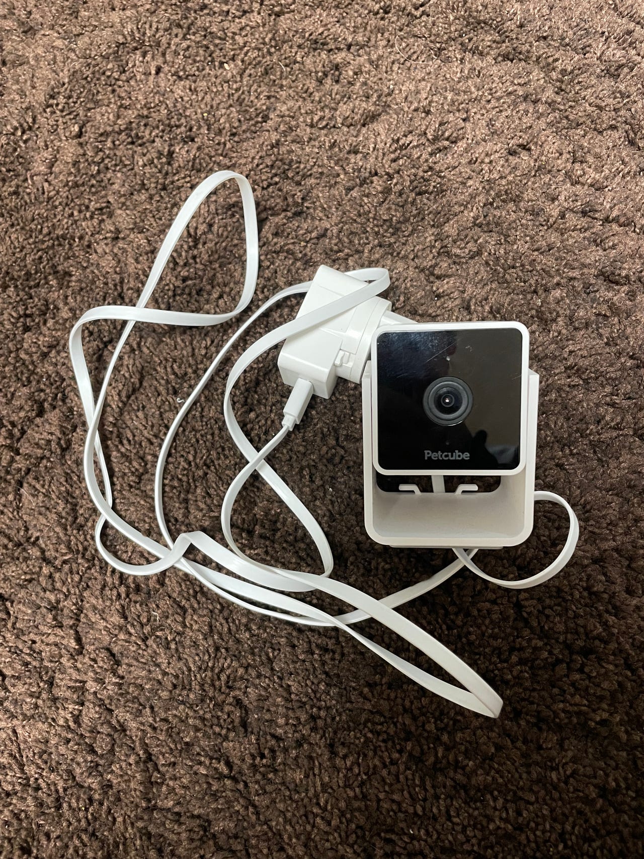 Petcube Cam lemmikkikamera
