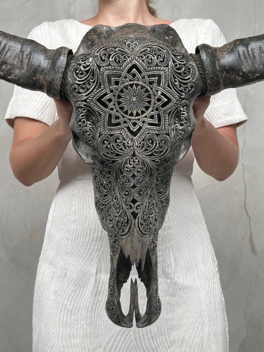 EI VÄHIMMÄISHINTAA - C-Large Grey Hand-Carved Water Buffalo Skull
