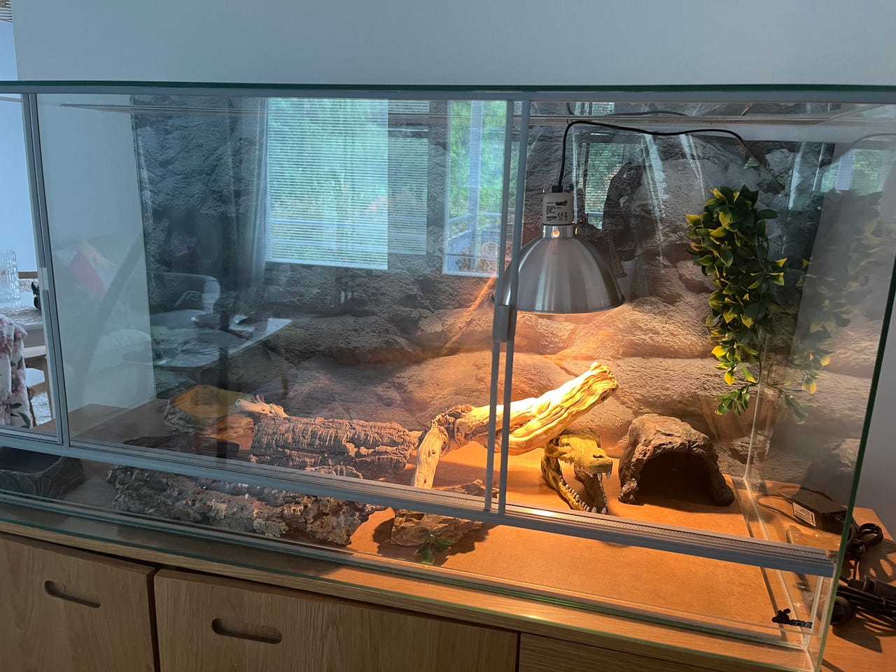 Terraario kokonaisuus UUSI