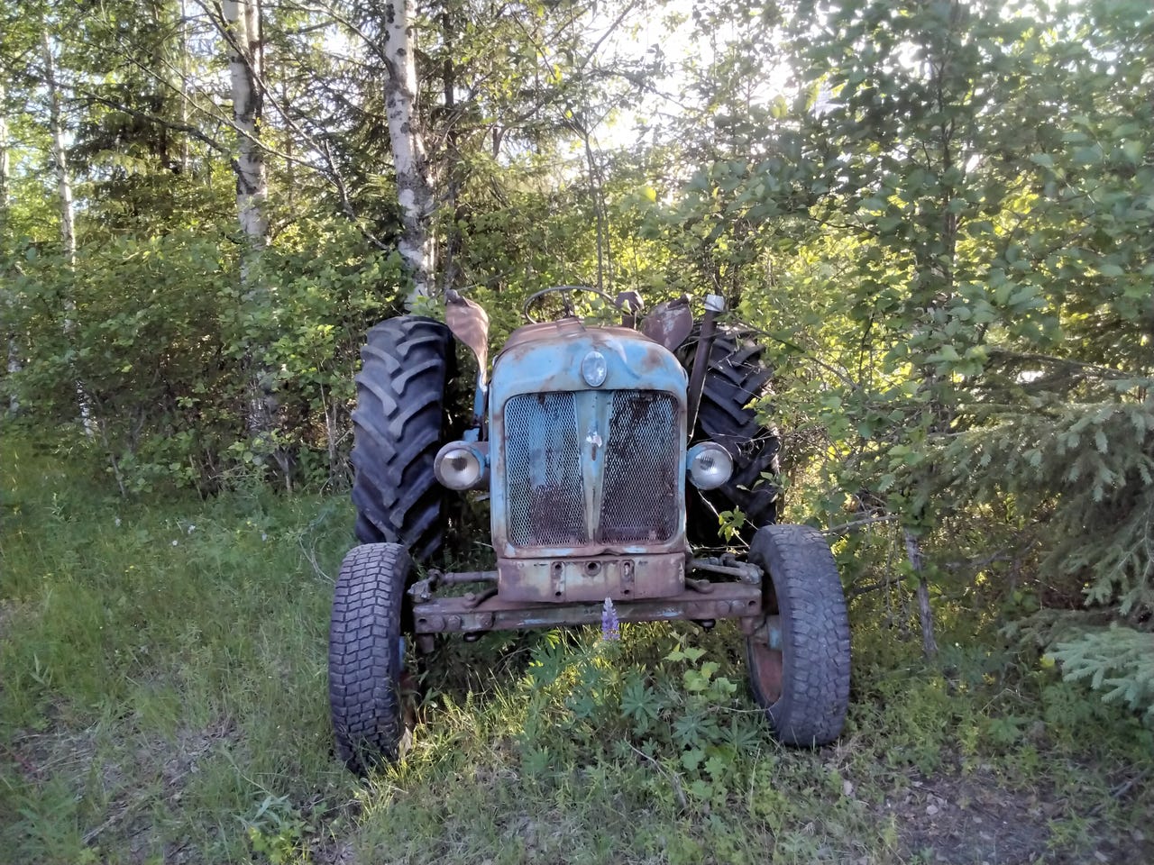 Fordson major diesel