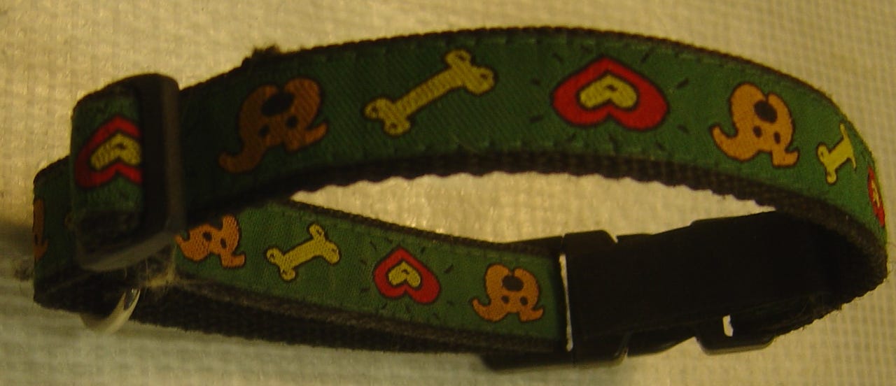 Koiran kaulapanta