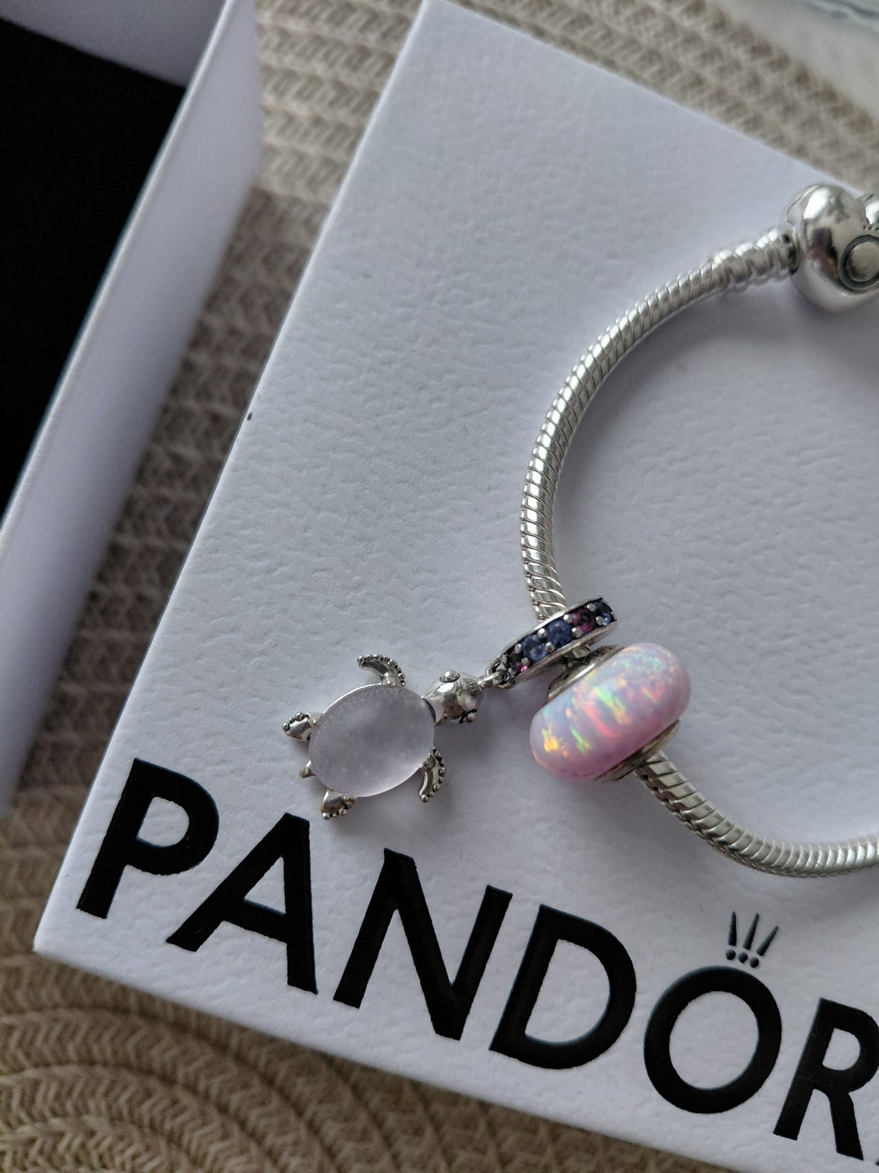Pandora kilpikonna hela