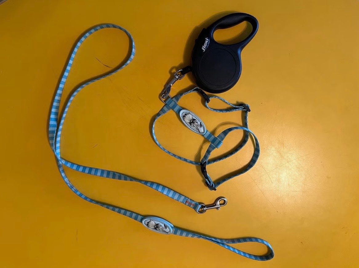Pieni flexi, valjaat ja hihna