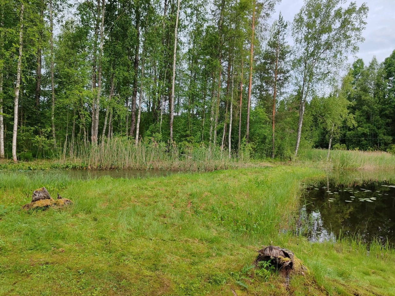 Täytemaata Hartolaan