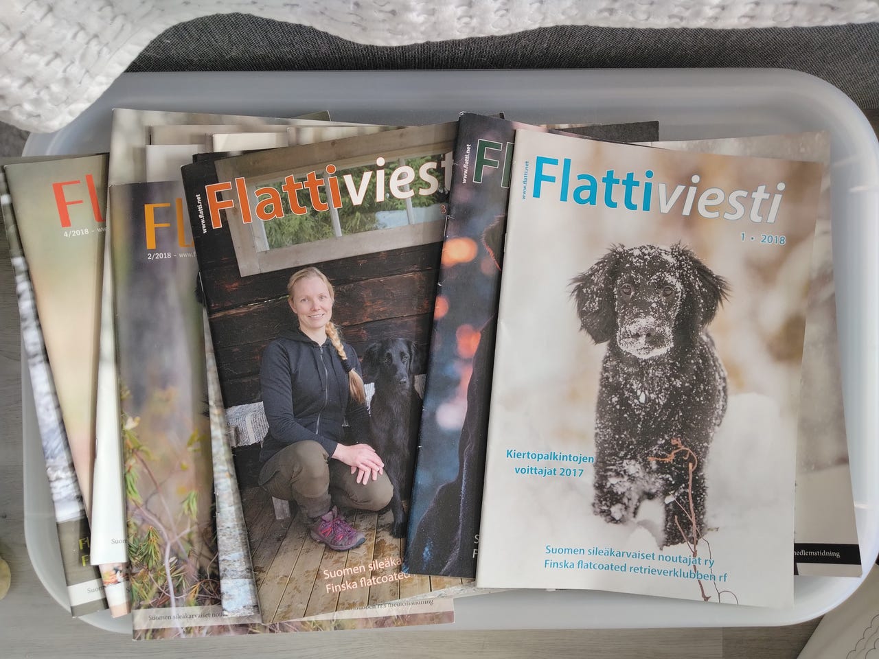 Flattiviesti -lehti