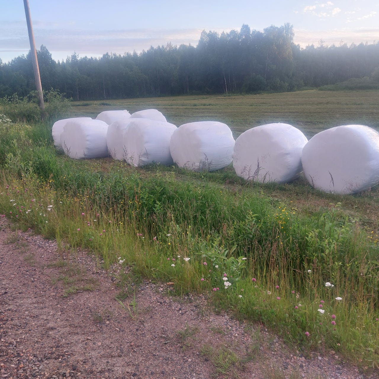 Pyöröpaali säilörehu / heinäpaalit