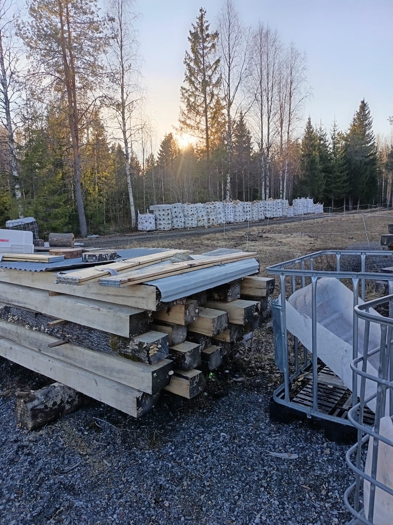 Hirsipelkkaa