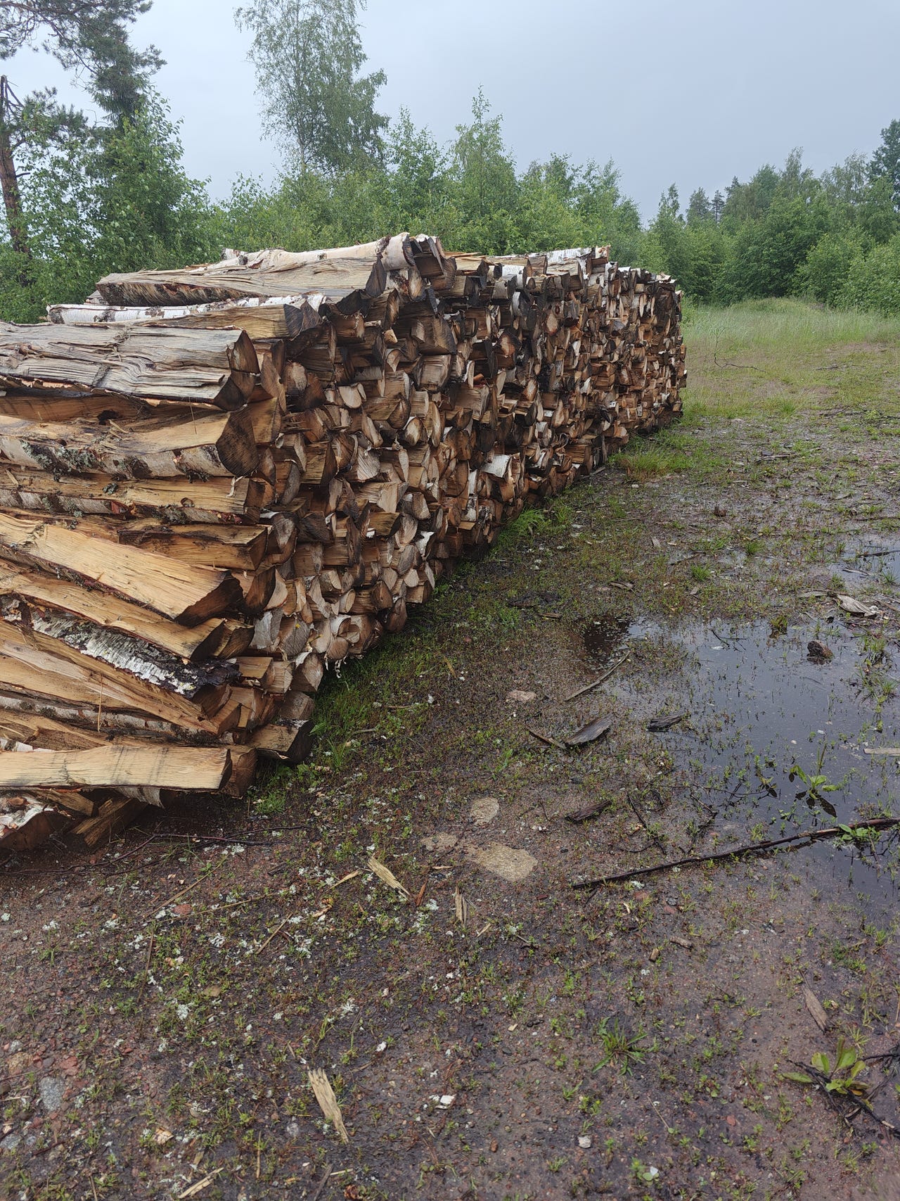 Polttopuut koivuklapit