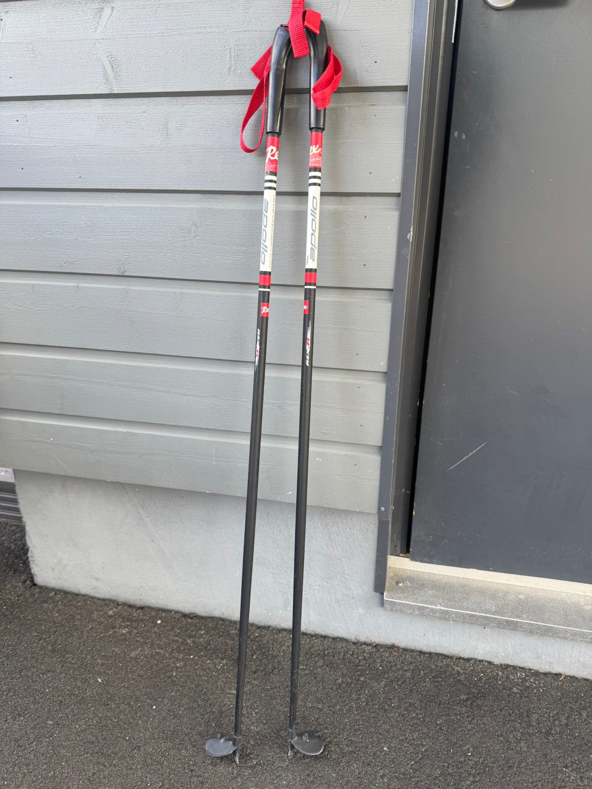 Rex Apollo hiihtosauvat 115cm