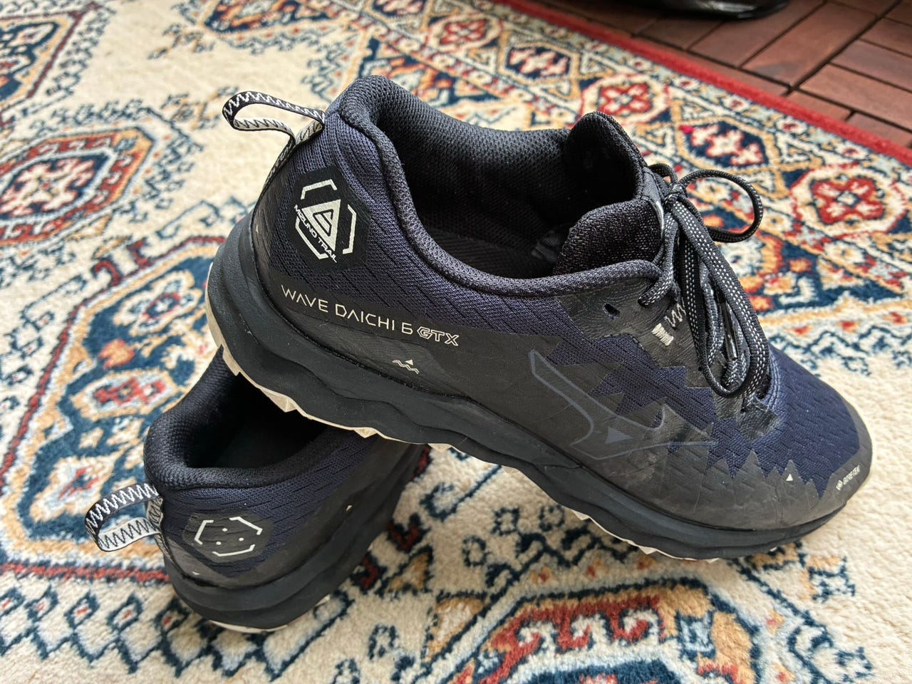 Mizuno Wave Daichi 6 Gore-Tex | Tori