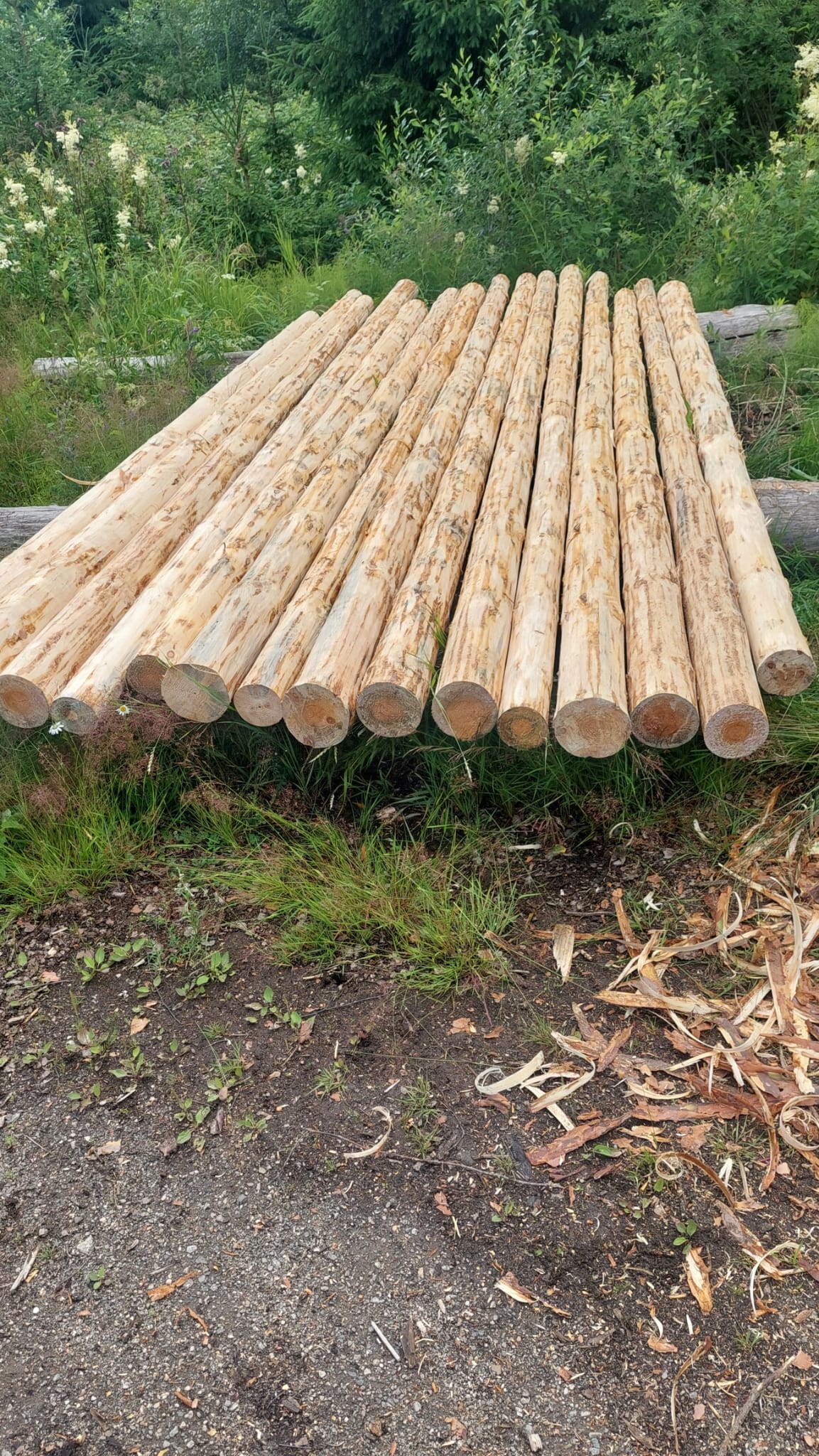 Kuorittuja pyöröhirsiä Heinolan Lusissa.