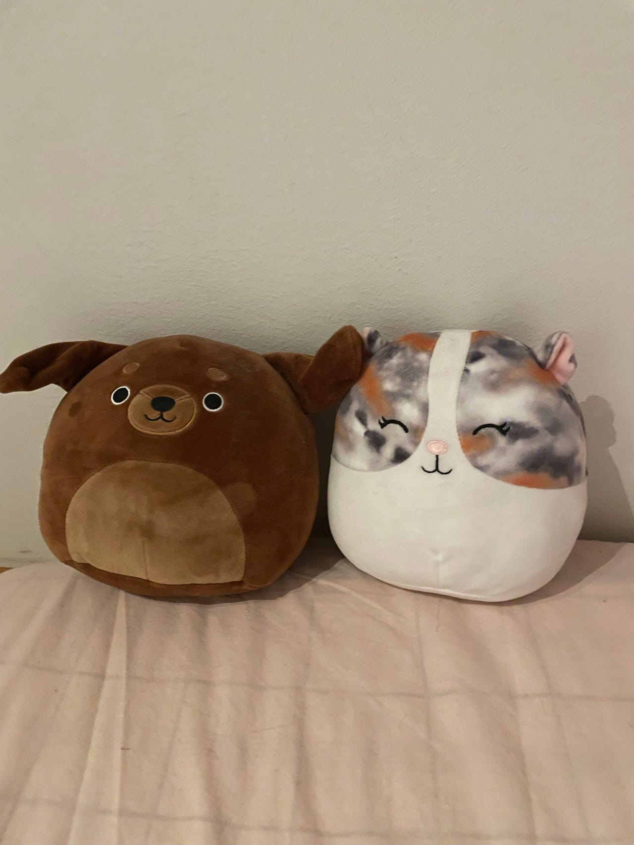 Squishmallows pehmolelu duo (myydään yhdessä tai erillään)