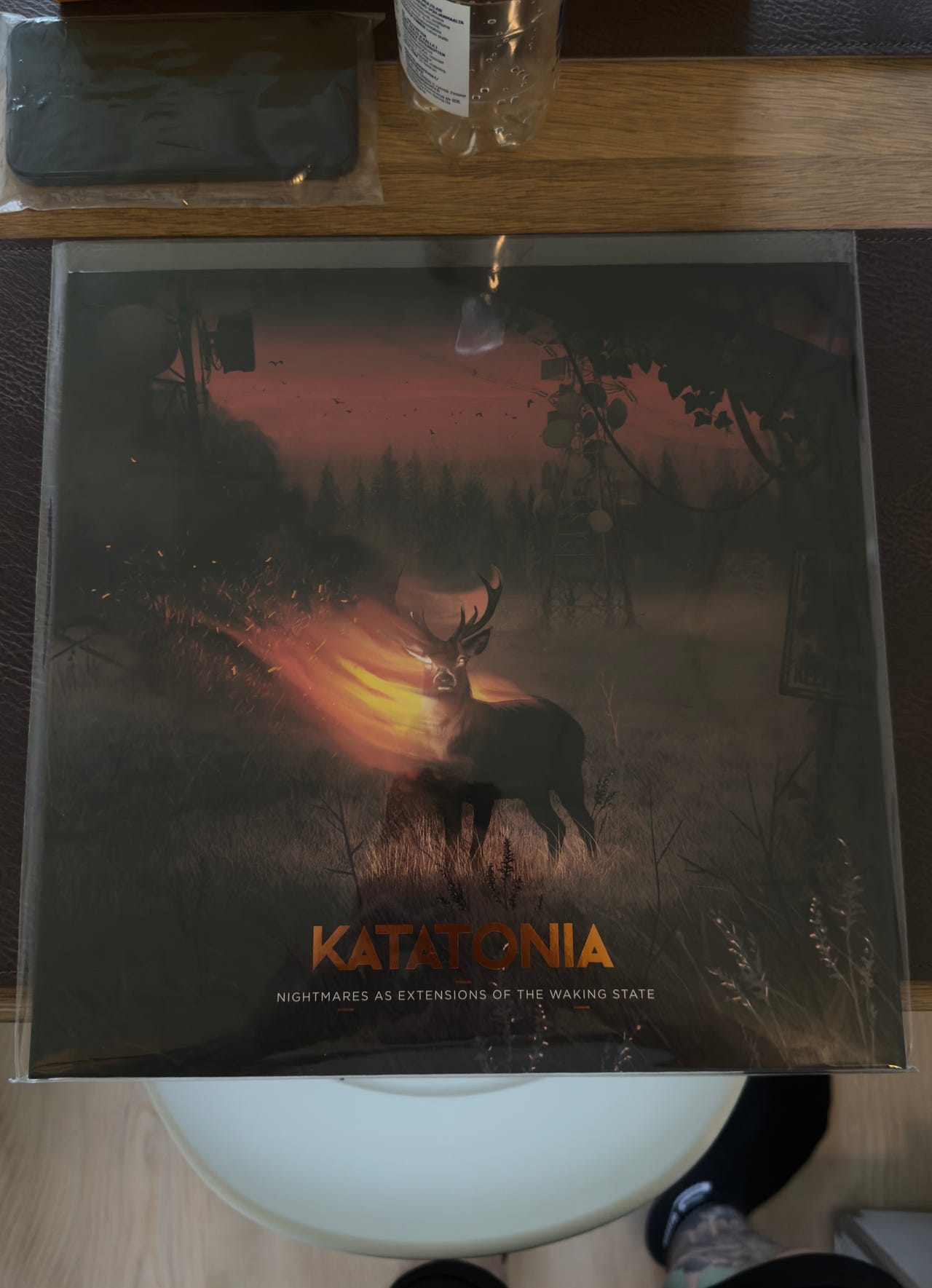 Katatonia Nightmares as extensions of the waking state LP