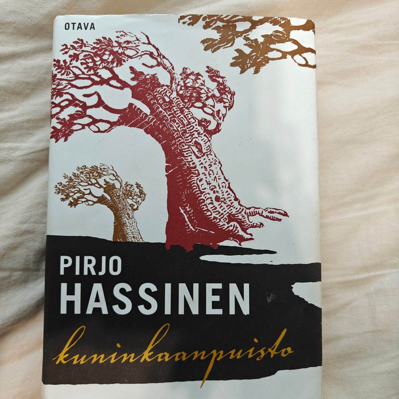 Pirjo Hassinen Kuninkaanpuisto - kirja