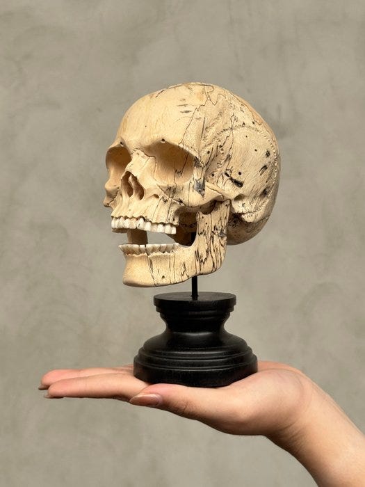 Kaiverrus, Stunning Wooden Human Skull With a beautiful grain on