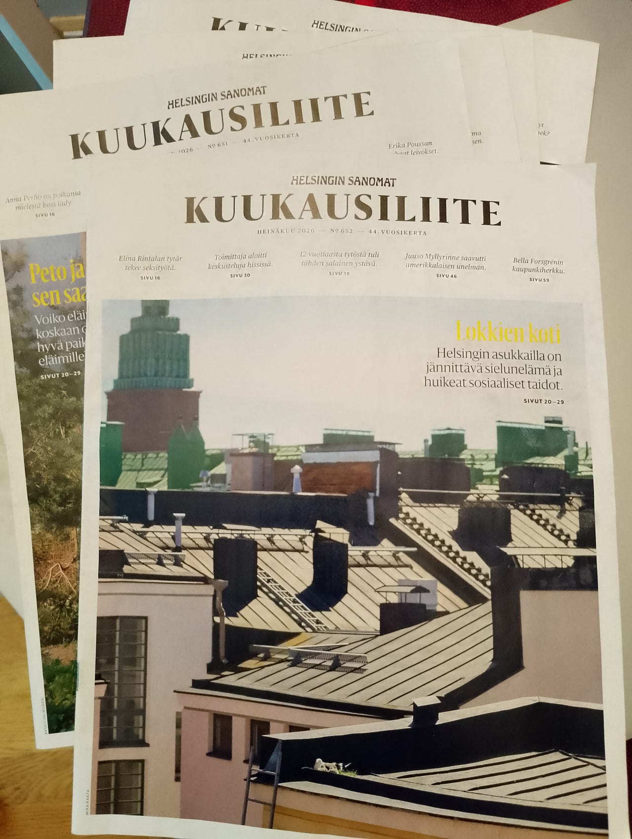 Hs kuukausiliite 2-7.2026
