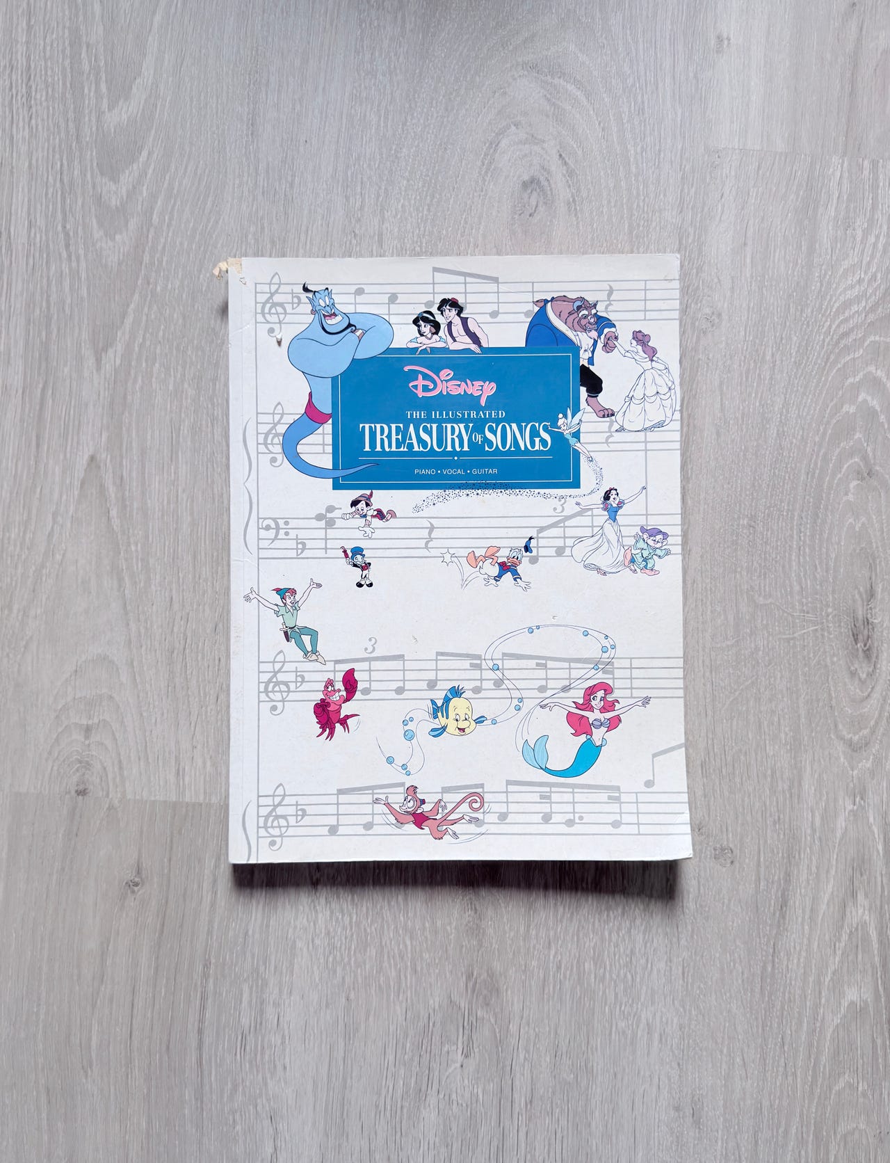 The Illustrated Treasury of Disney Songs – Walt Disney Company