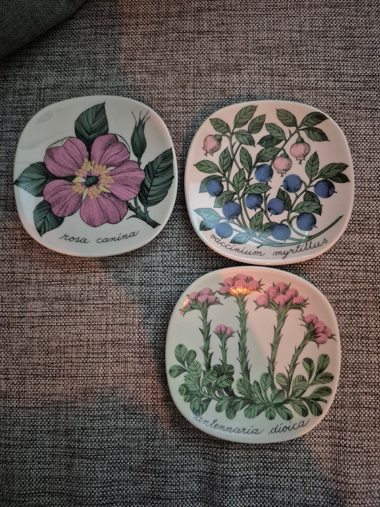 Arabia botanica Esteri Tomula seinälautaset