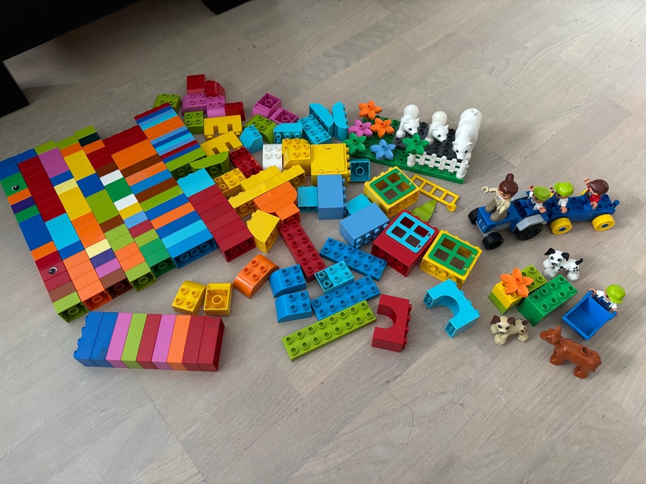 LEGO DUPLO iso sekalainen setti