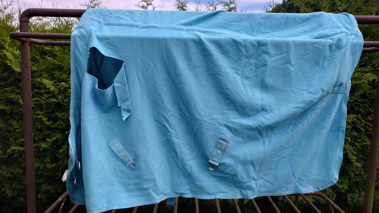 Vaaleansininen hevosen fleeceloimi