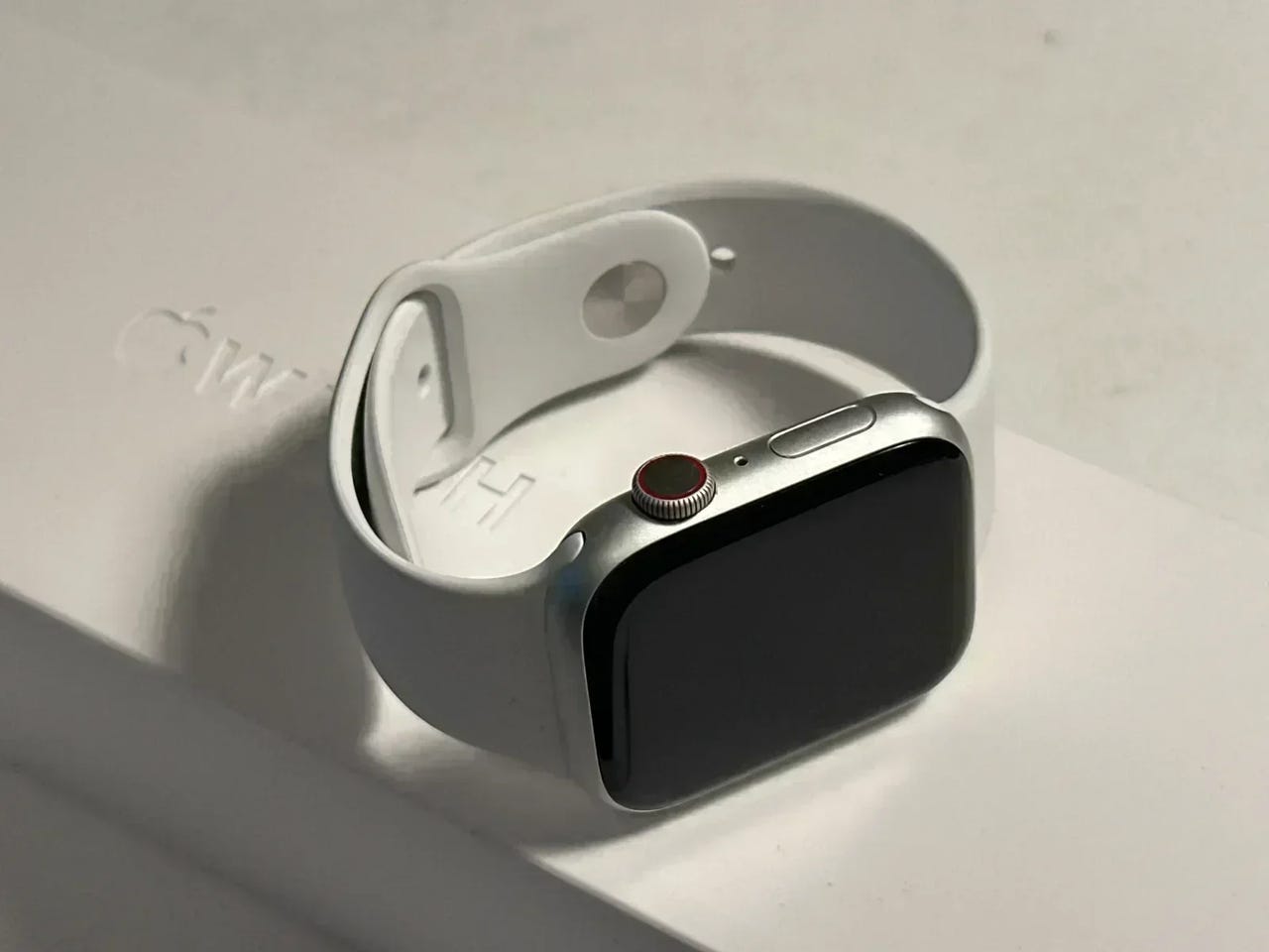 Apple Watch 8 45mm GPS + 4G TAKUU 12kk silver