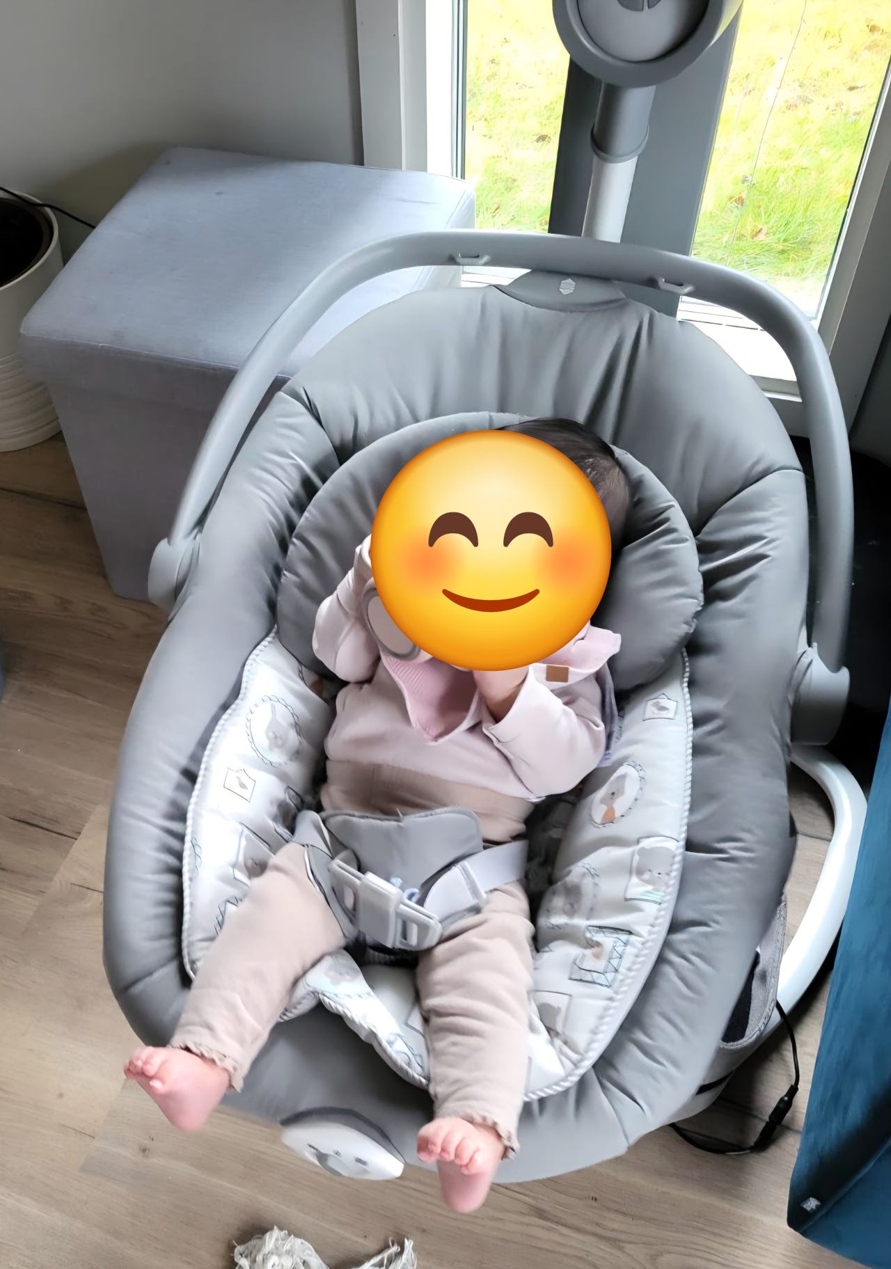 Joie Serina 2-in-1 Sitteri