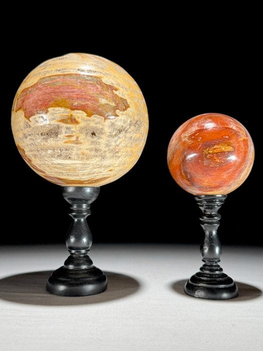 Upea petrifioitunut puupari - Kivettynyt puu - Spheres on a custo