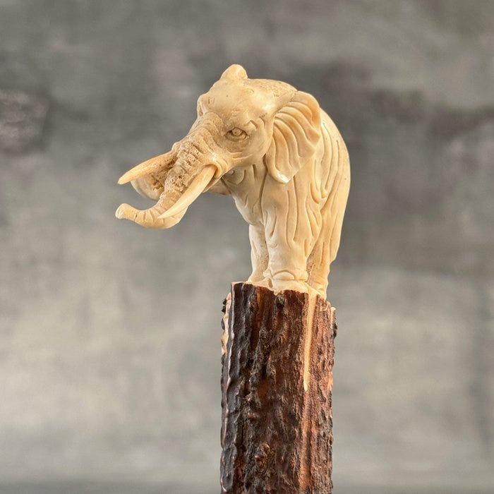 Kaiverrus, An Elephant carving from deer antler on a custom stand