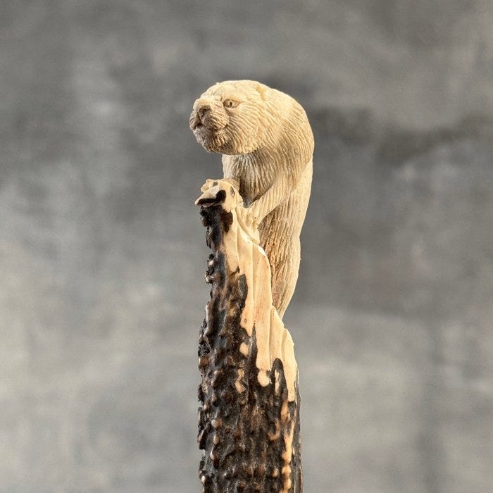 Kaiverrus, Stunning Otter carving from deer antler on a custom st