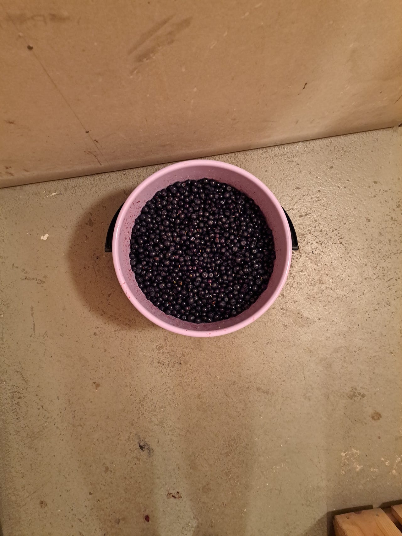 Mustikkaa 5,7 kg HETI noudettavissa
