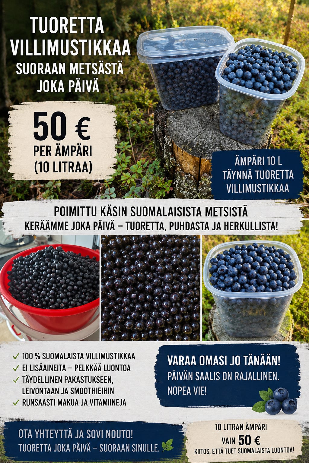 Tuoretta metsämustikkaa suoraan metsästä : Ulvila tai Pori