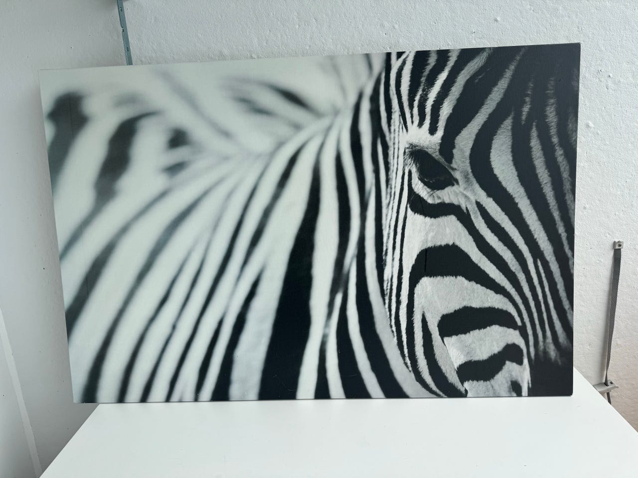 IKEA taulu seepra 78x118 cm mustavalkoinen