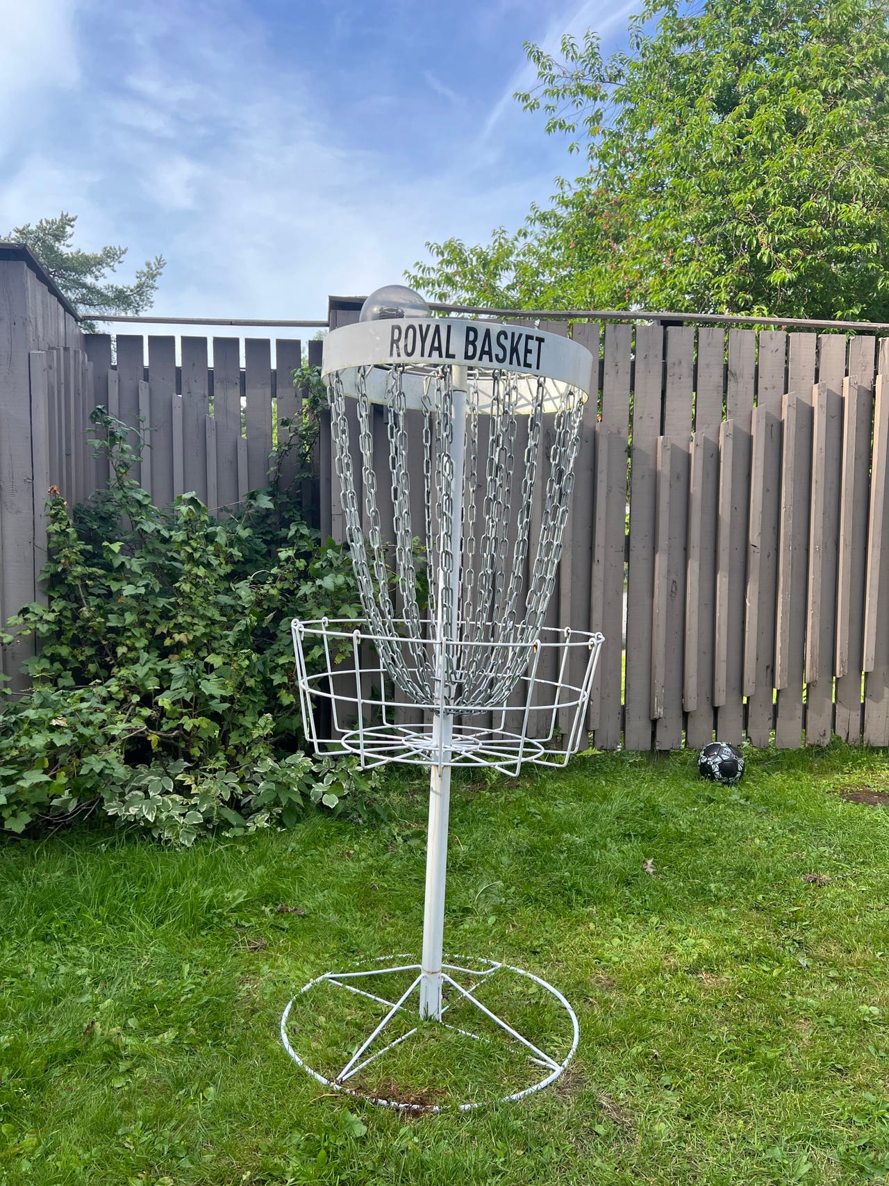 Viking Discs Royal Basket frisbeegolfkori