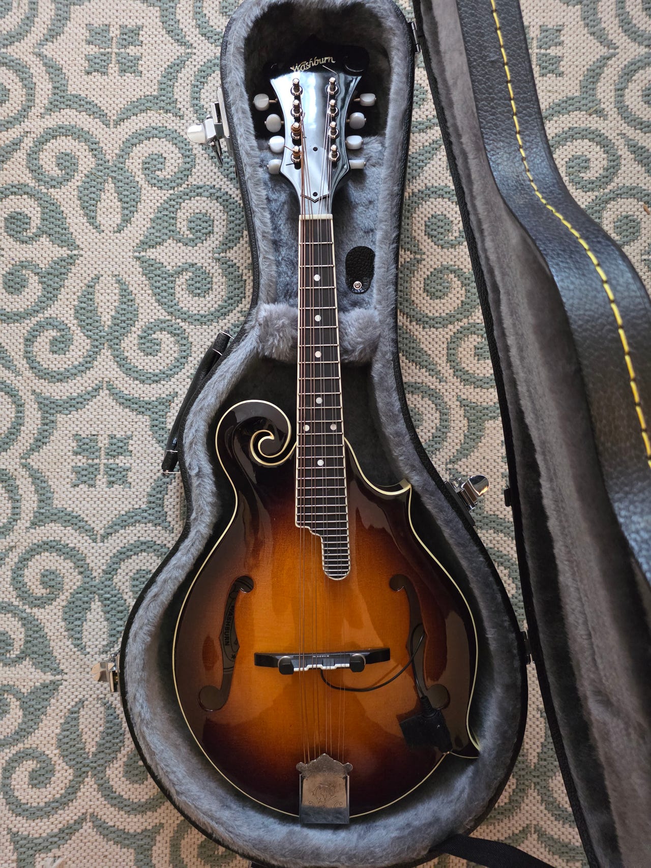 Washburn M4SW
